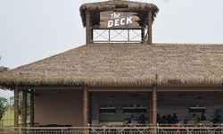 The Desk in Park