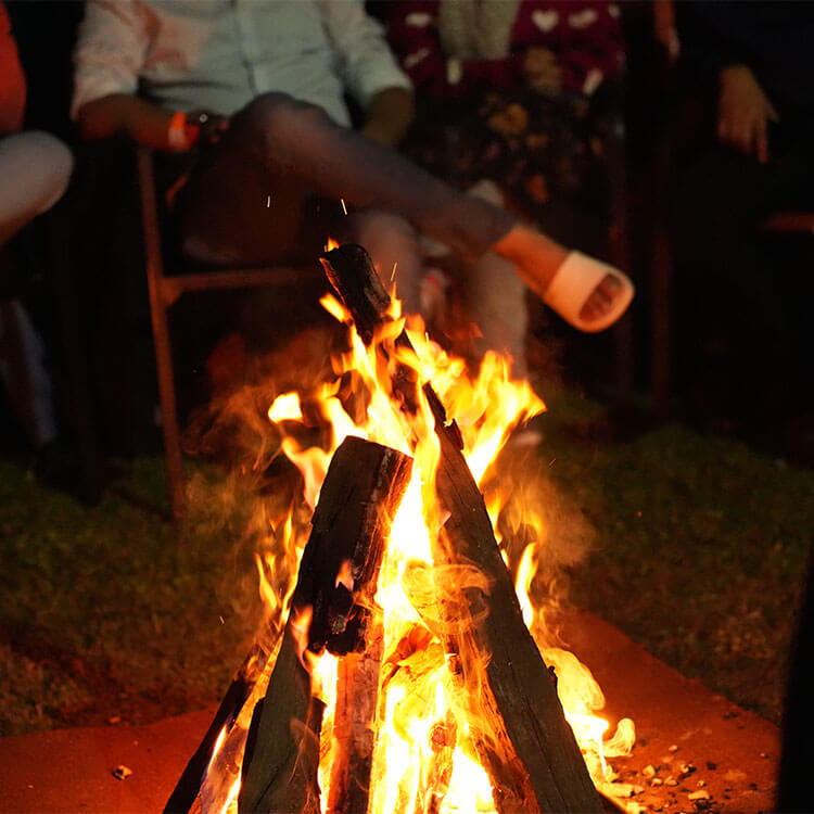 bonfire