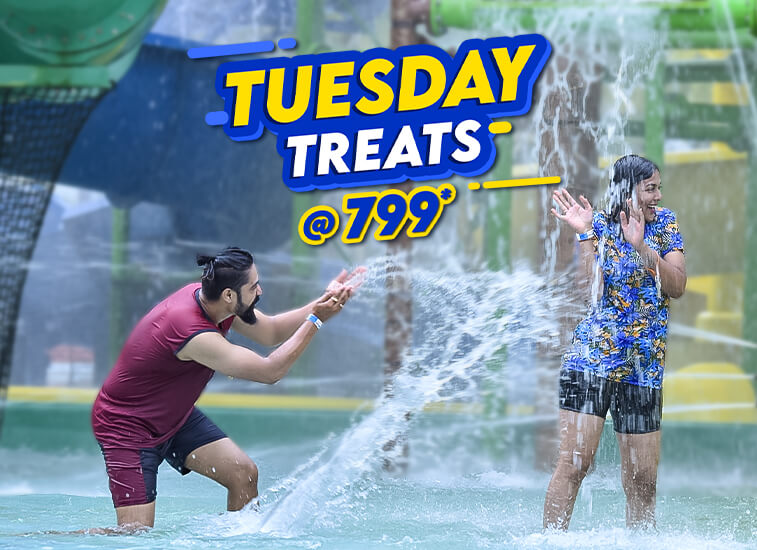 Tuesday-treats