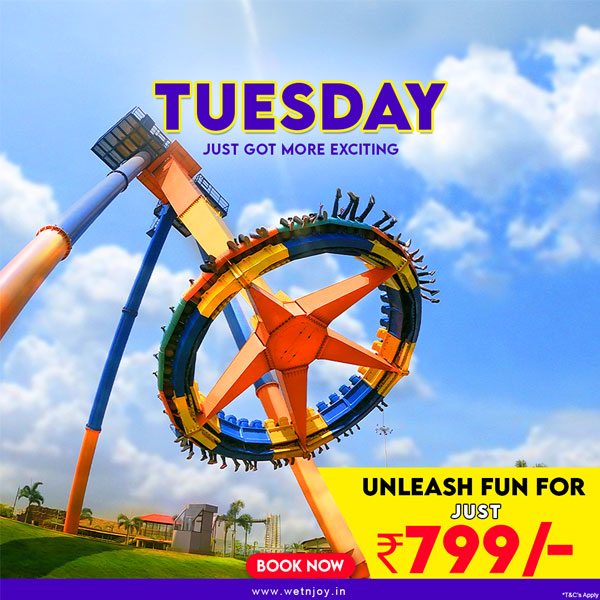 Tuesday Offer at 799 only