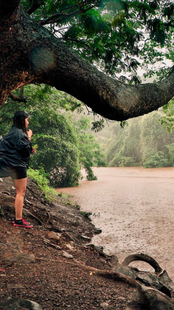 Sanjay Gandhi National Park - Things to do in Mumbai