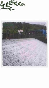 Monsoon Magic at Bhushi Dam