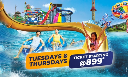 Tuesday & Thursday Bonanaza- Starting from 899 rs