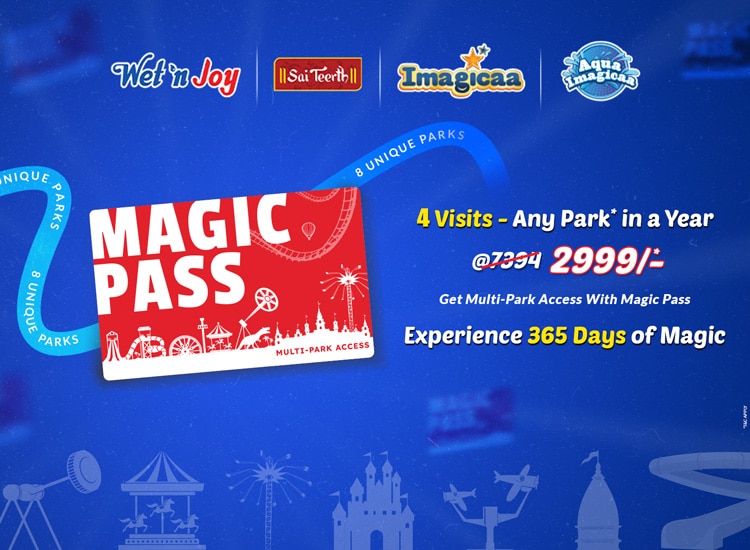 Magic Pass - 4 visit in any park in a year
