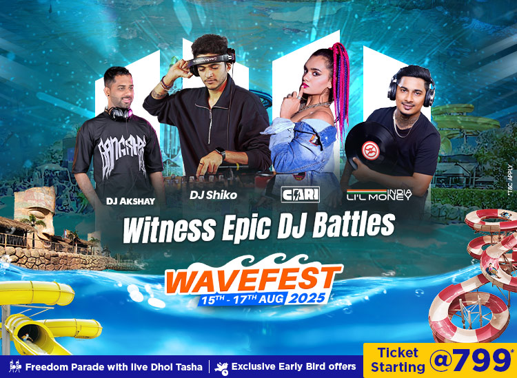 wavefest-dj-party-mob